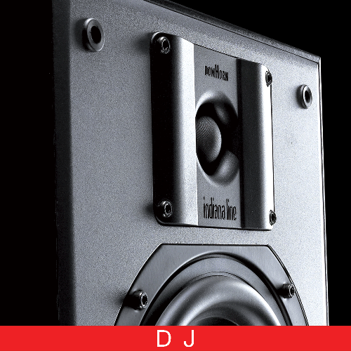 DJ Lautsprecher